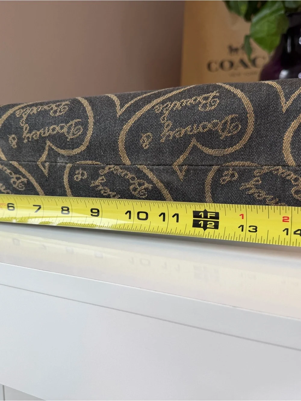 Dooney & Bourke such fun
